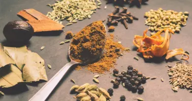 Livraison de plats à domicile : la recette à faible impact carbone de FoodChéri à Sucy-en-Brie