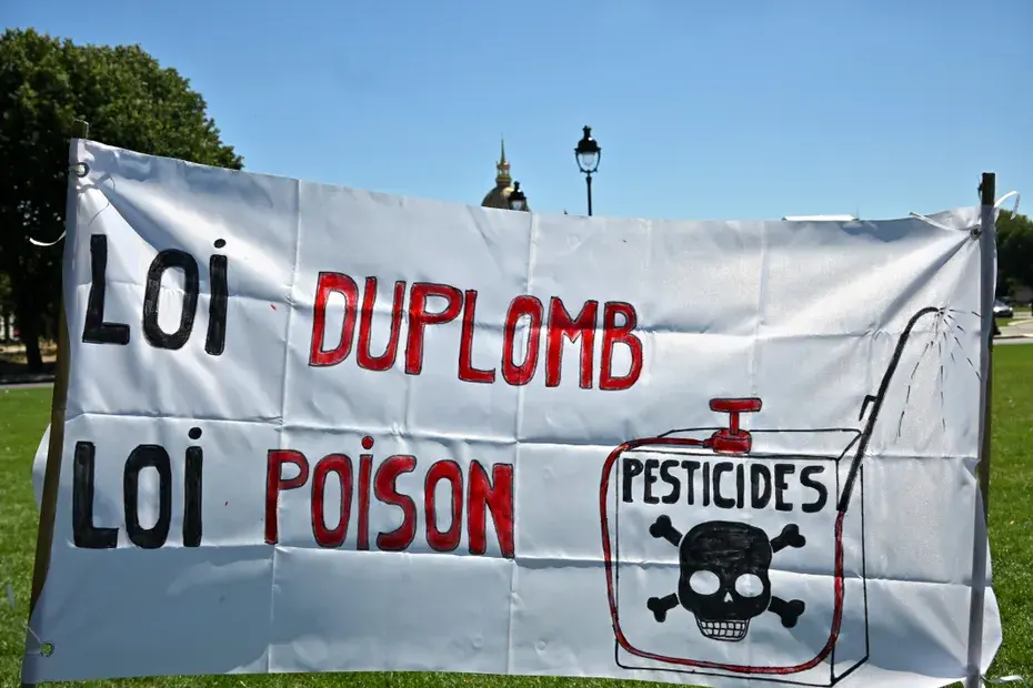 Loi Duplomb : pour ou contre, on a posé la question à une productrice de noisettes et un apiculteur
