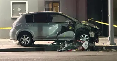 Los Angeles : une voiture fonce dans la foule et blesse au moins 31 personnes, le conducteur placé en garde à vue