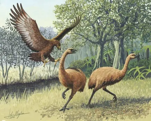 Loup sinistre, souris laineuse et moa : tenter de déséteindre des espèces dans un environnement économique instable est très risqué