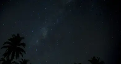 Magique : une incroyable pluie d’étoiles filantes va illuminer le ciel de Nantes cet été