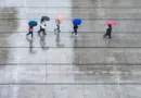 Maine-et-Loire. Météo du mercredi 9 juillet 2025… et un fait marquant ! – Saumur Kiosque