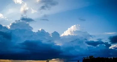 Maine-et-Loire. Météo du vendredi 25 juillet 2025… et un fait marquant !