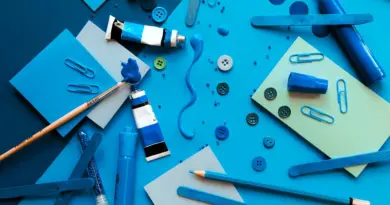Malaunay. Année créative pour le Contrat d’éducation artistique et culturelle