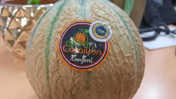 « Melon », un des plus beaux produits de l’été