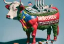 Mercosur : «La Chine est devenue l’usine de l’Europe, l’Amérique du Sud ne peut pas devenir sa ferme» – Le Figaro