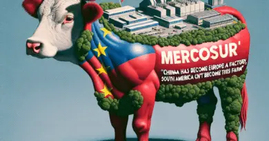 Mercosur : «La Chine est devenue l’usine de l’Europe, l’Amérique du Sud ne peut pas devenir sa ferme» – Le Figaro