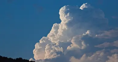Météo France prévient : des rafales attendues cette semaine, découvrez les régions les plus exposées