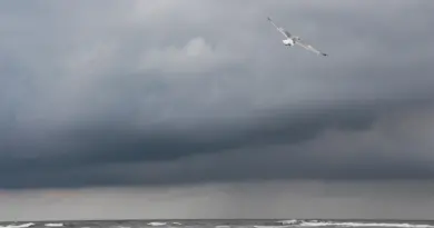 Météo. Orages : l’Alsace placée en vigilance orange, les grands parcs et les cimetières fermés à Strasbourg