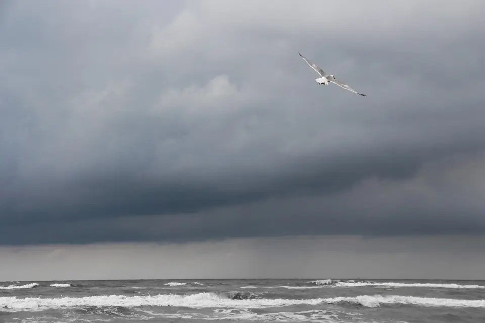 Météo. Orages : l’Alsace placée en vigilance orange, les grands parcs et les cimetières fermés à Strasbourg