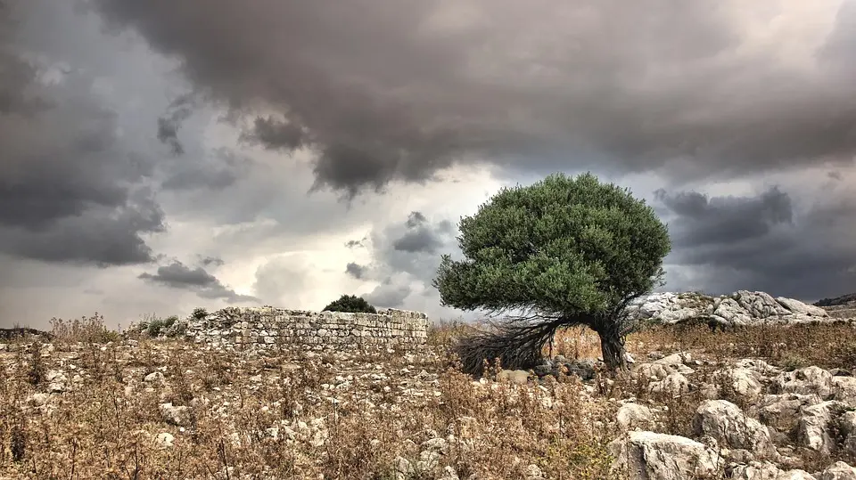 Météo dimanche 27 juillet : dégradation, rafraîchissement général