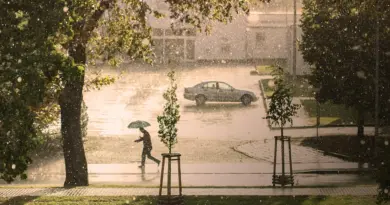 Météo du 7 juillet 2025 : Prévisions météo à 21h03 – TF1+