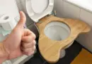 Mulasana, une invention surprenante qui corrige le plus gros inconvénient de nos toilettes