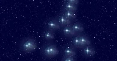 Noé. Toute la galaxie du tennis récompensée