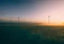 Notre ambition : la neutralité carbone à horizon 2050, ensemble avec la société – TotalEnergies.com