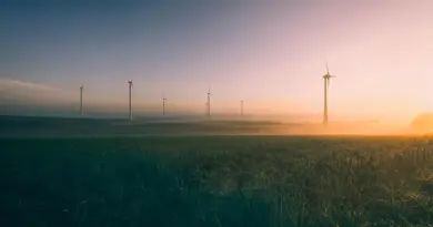 Notre ambition : la neutralité carbone à horizon 2050, ensemble avec la société – TotalEnergies.com