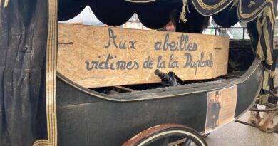 « Nourrir pas détruire » : l’agriculture paysanne et les abeilles enterrées pour dénoncer la loi Duplomb