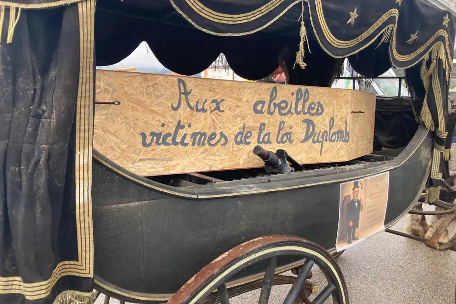 « Nourrir pas détruire » : l’agriculture paysanne et les abeilles enterrées pour dénoncer la loi Duplomb