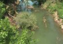 « Nous demandons un effort de solidarité » : de nouvelles restrictions d’eau en raison des fortes chaleurs