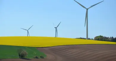 Nucléaire iranien