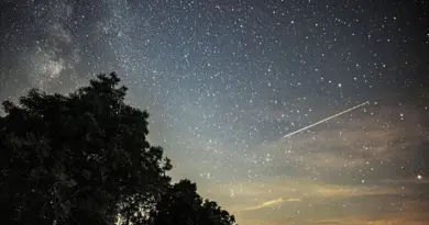 Nuits des étoiles 2025 : jusqu’à fin août, un ciel nocturne illuminé par l’essaim des Perséides