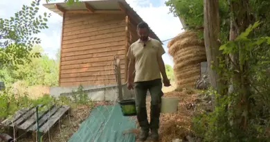 « On tient le coup, mais ça ne va pas durer » : de nombreuses exploitations menacées par la suppression des aides à l’agriculture bio