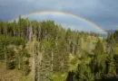 Orages forts dans l’extrême sud jusqu’à dimanche matin