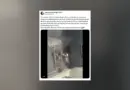 Paris : Fousseynou Cissé, l’homme qui a sauvé une famille des flammes, décoré ce dimanche
