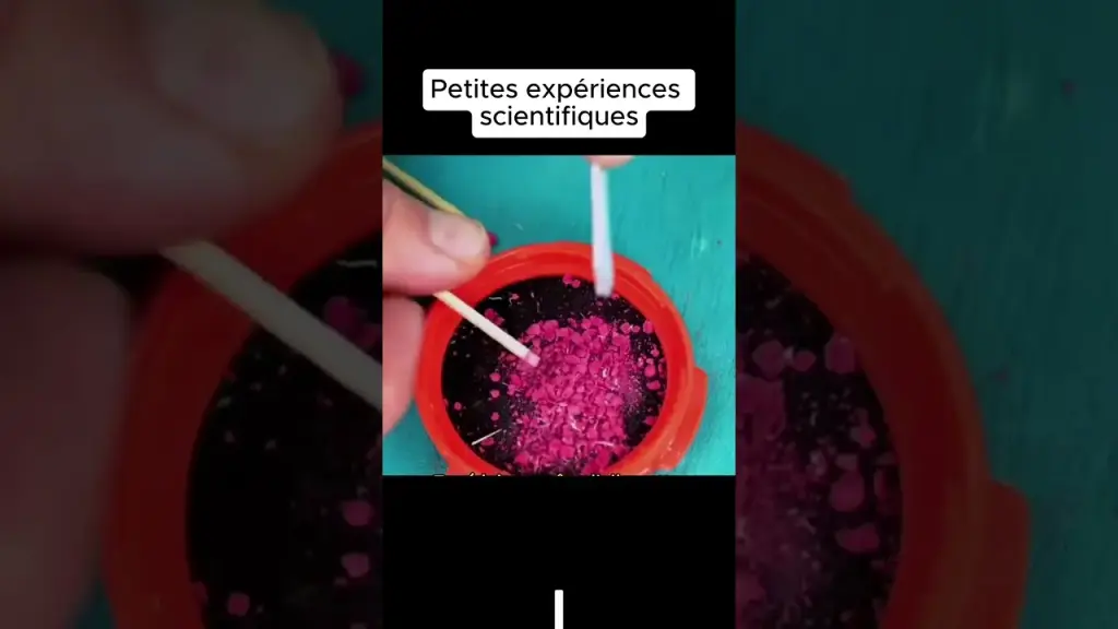 Petites expériences scientifiques#apprendresurtiktok #science