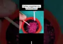 Petites expériences scientifiques#apprendresurtiktok #science