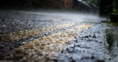 Pic de chaleur vendredi avant les orages