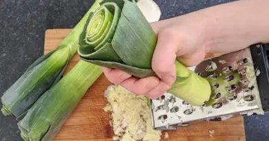 Poireaux râpés / RECETTE POUR REPAS RAPIDE