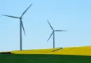 Pour affronter un climat déréglé, Berlin se transforme ville éponge