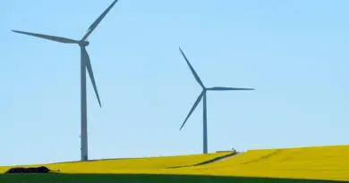 Pour affronter un climat déréglé, Berlin se transforme ville éponge
