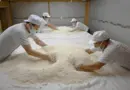 Pourquoi le saké japonais devient de plus en plus sucré