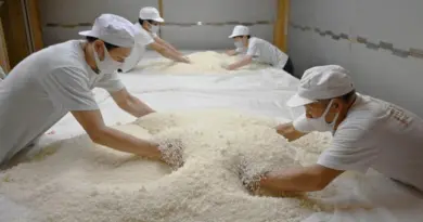 Pourquoi le saké japonais devient de plus en plus sucré
