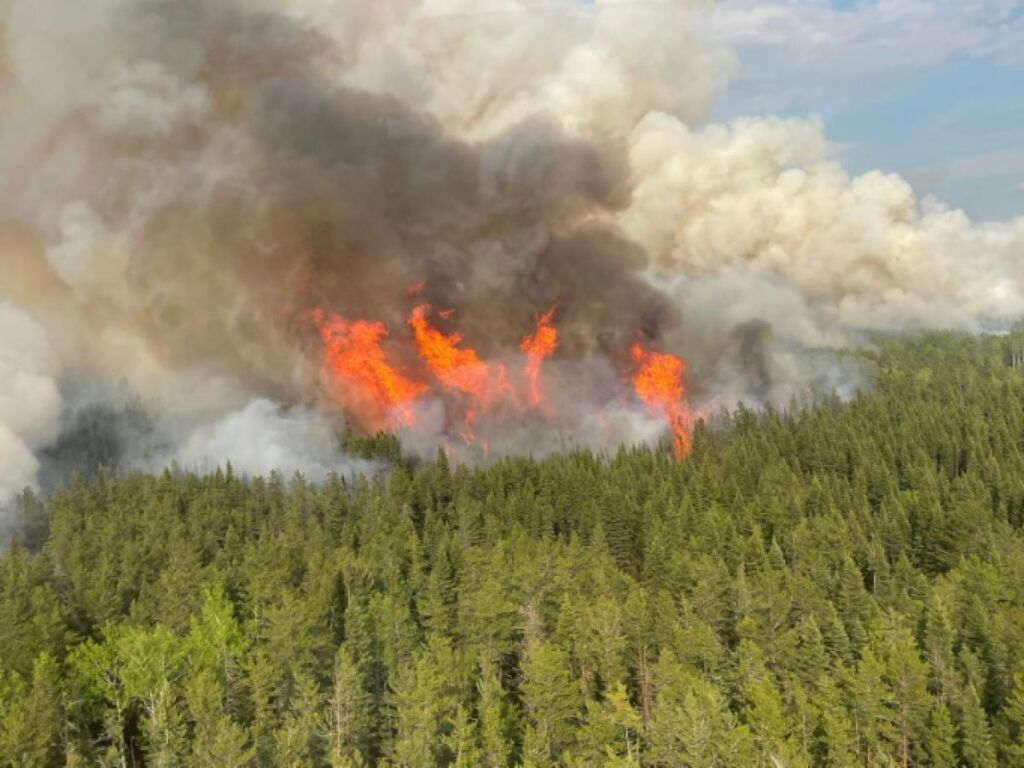 Près de six millions d’hectares brûlés par les feux de forêt au Canada