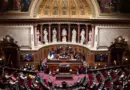 Programmation énergétique : la loi «Gremillet» à nouveau examinée ce mardi au Sénat