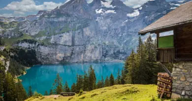 Projection : « La nouvelle cabane de l’Aigle »