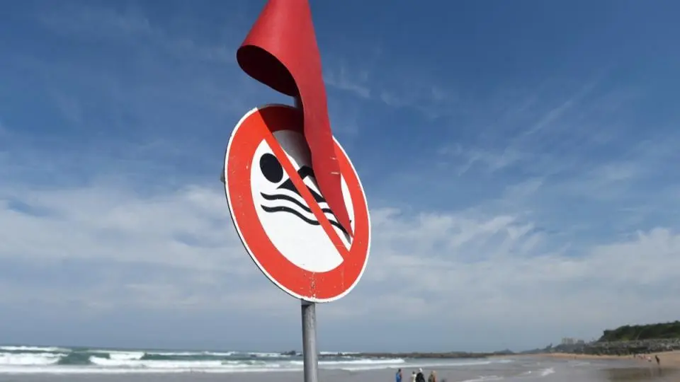 Pyrénées-Atlantiques : une plage de Biarritz interdite à la baignade à cause d’une micro-algue toxique