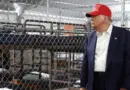Quand les internautes comparent « l’Alcatraz des alligators » de Trump à Auschwitz