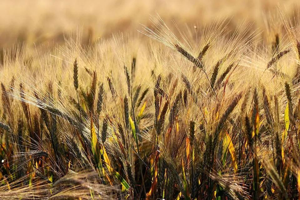 Que prévoit la ministre de l’Agriculture pour les agriculteurs de la région Paca ?