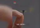 Quel est ce drone de la taille d’un moustique annoncé par la Chine ?