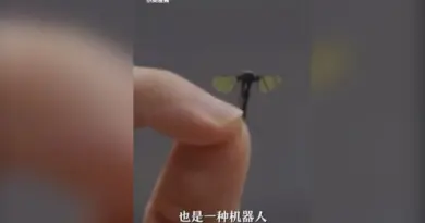 Quel est ce drone de la taille d’un moustique annoncé par la Chine ?