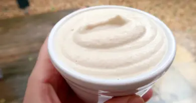 RECETTE CRÈME FRAÎCHE VEGAN / UN JOUR UNE RECETTE