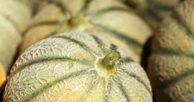 Rappel de produit : attention, ce melon vendu chez Carrefour contient trop de pesticides