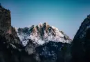 Rdv avec un garde-moniteur : capturer la faune sauvage – Parc national des Ecrins