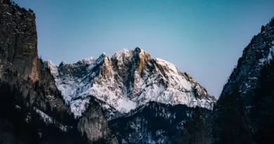 Rdv avec un garde-moniteur : capturer la faune sauvage – Parc national des Ecrins