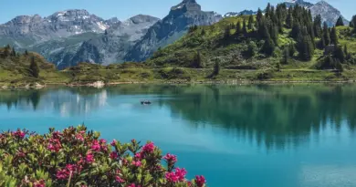 Rdv avec un garde-moniteur : les glaciers