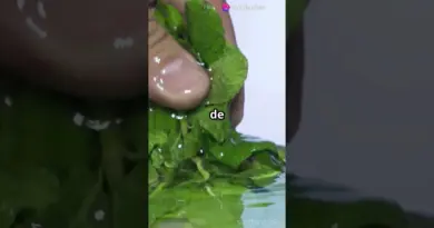 Recette Alchimique   Jus de Purification   #RecetteSanté #Détox #BoissonAlchimique #HealthyJuice